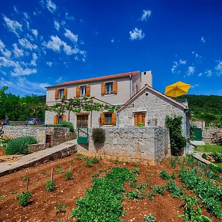Betini Apartments - Authentic Island Escape Komiza Exterior photo
