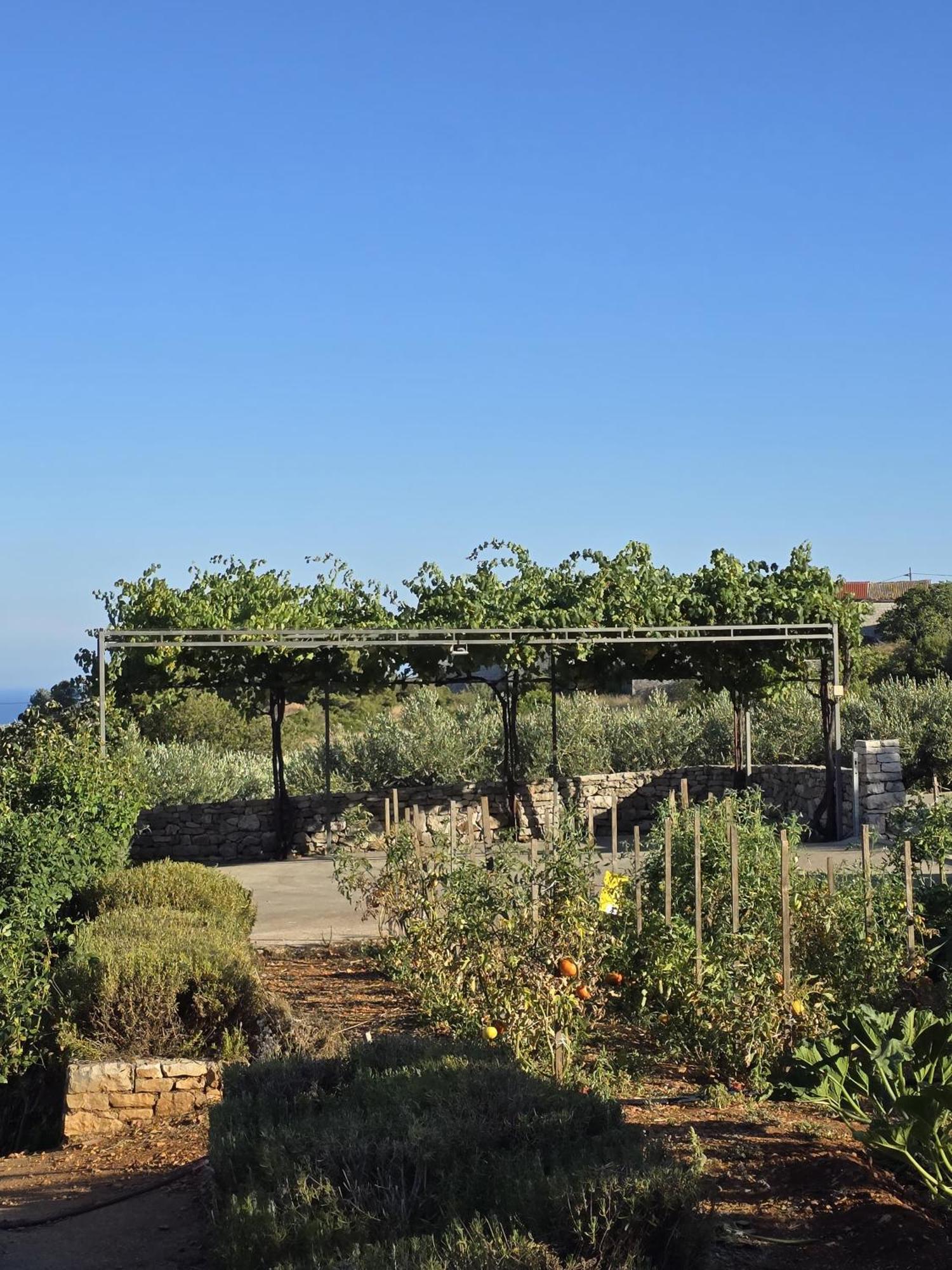 Apartment Betini - Authentic Island Escape Komiza